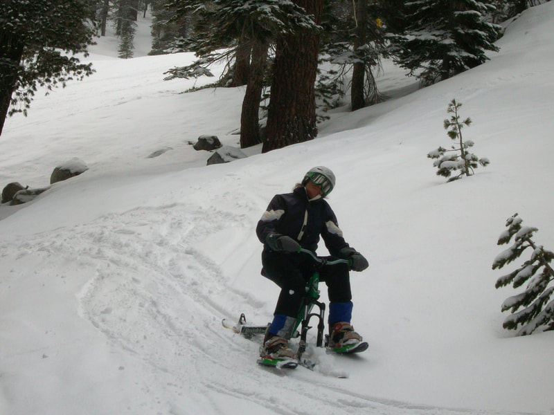 A ski biker tree-skiing in the Stagecoach Woods on her iSkibike on the Nevada side of the Heavenly Mountain Resort.